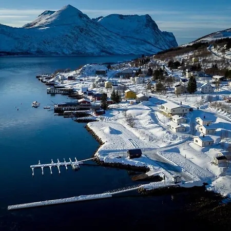 Senja Fjordcamp * Torsken