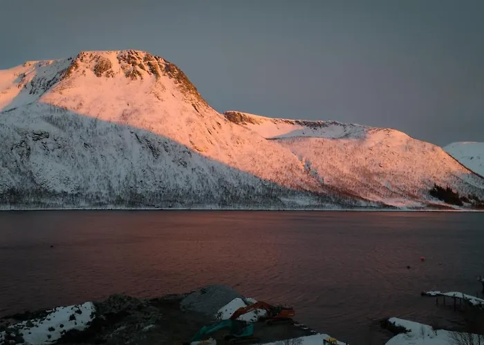 Senja Fjordcamp *