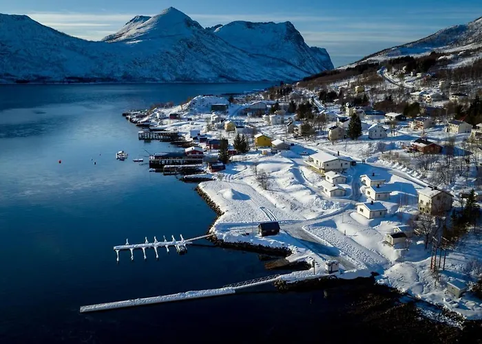 Senja Fjordcamp * Torsken